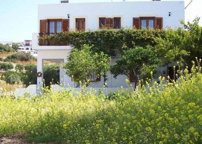 Benigna Studios