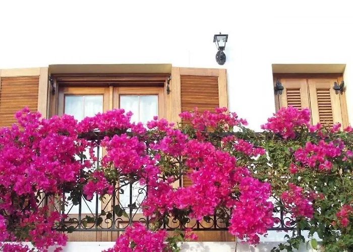 Benigna Studios